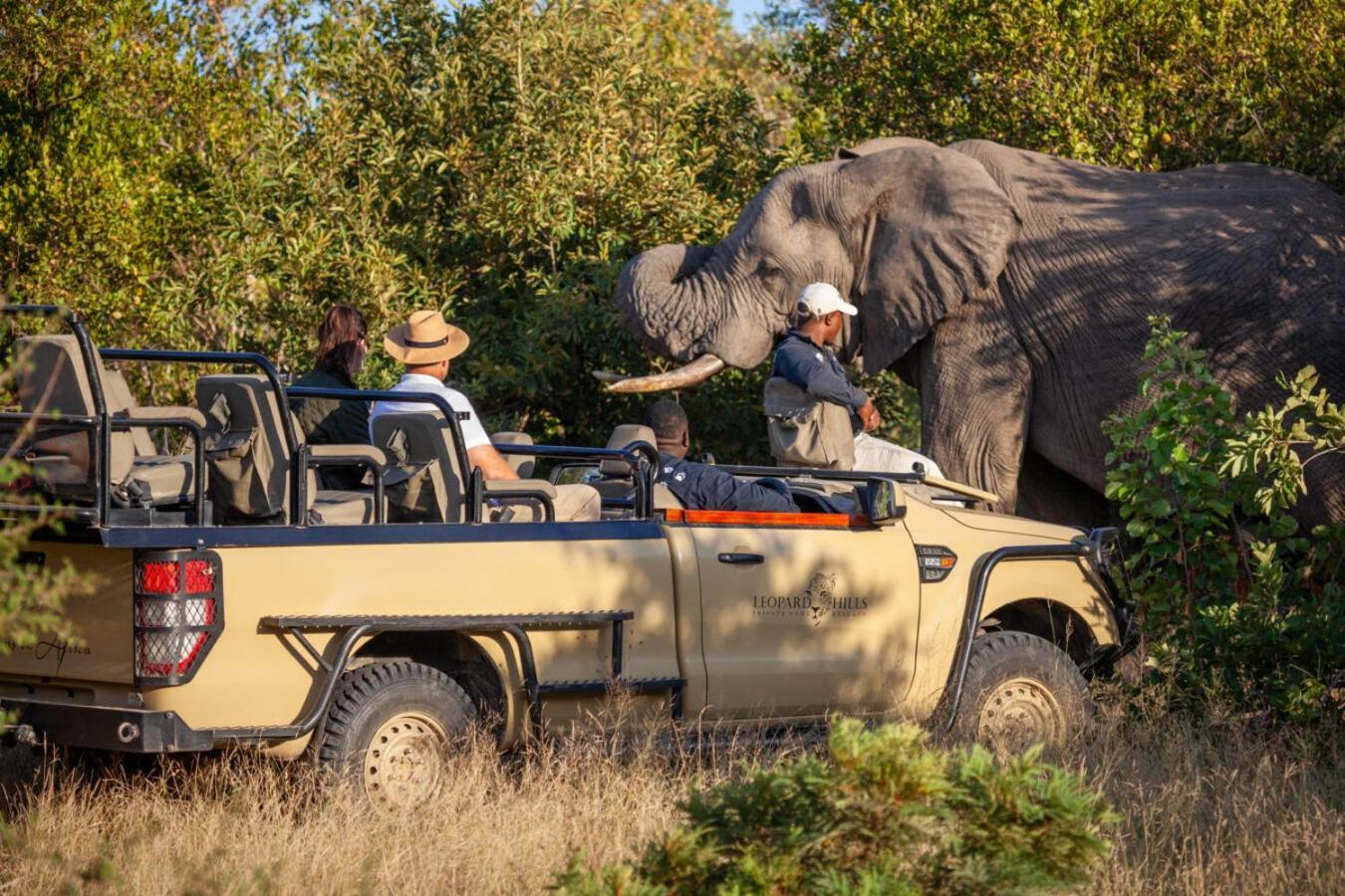 Leopard Hills Private Game Reserve Khu bảo tồn Sabi Sand Ngoại thất bức ảnh