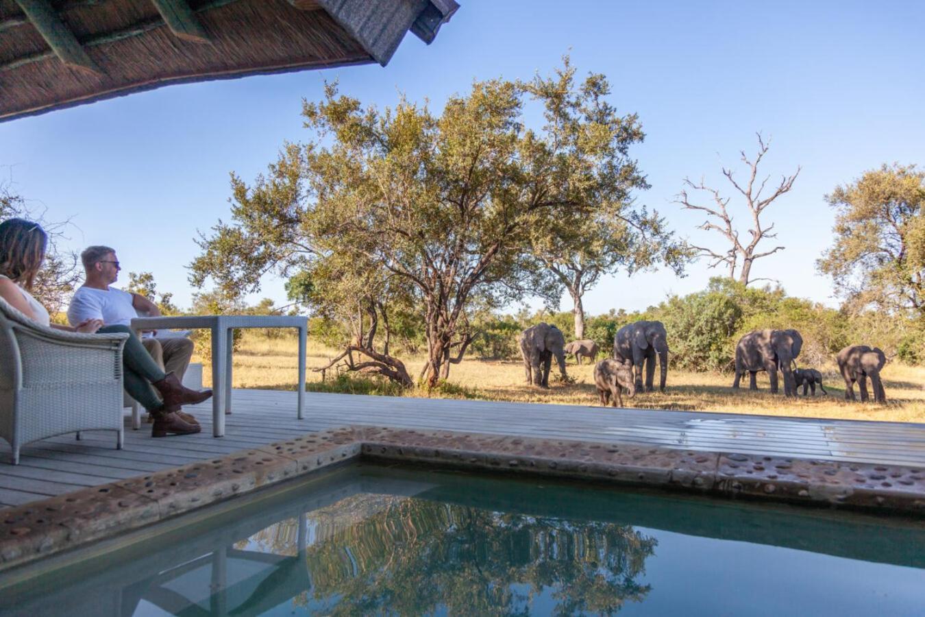 Leopard Hills Private Game Reserve Khu bảo tồn Sabi Sand Ngoại thất bức ảnh