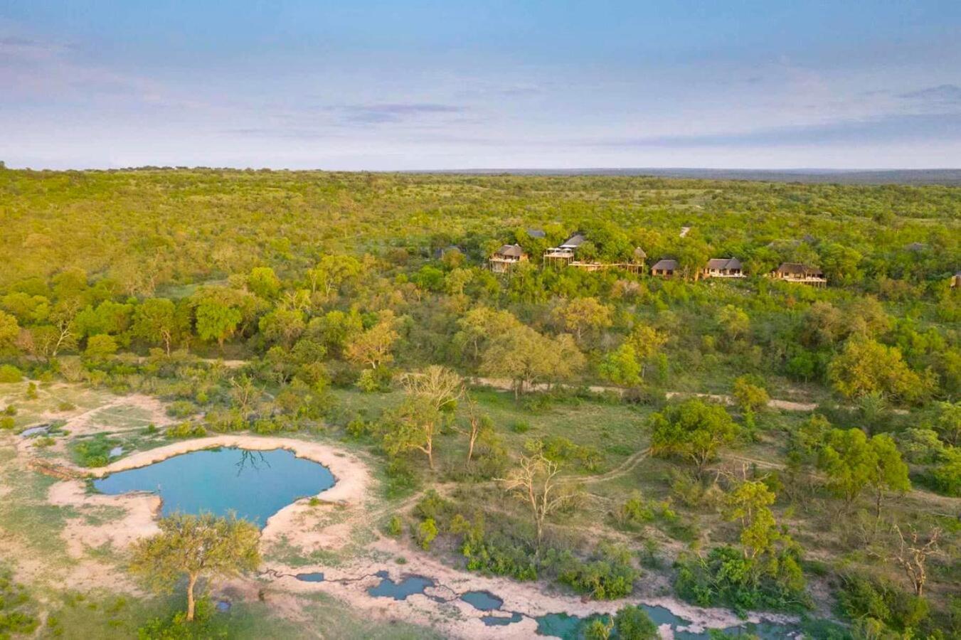 Leopard Hills Private Game Reserve Khu bảo tồn Sabi Sand Ngoại thất bức ảnh