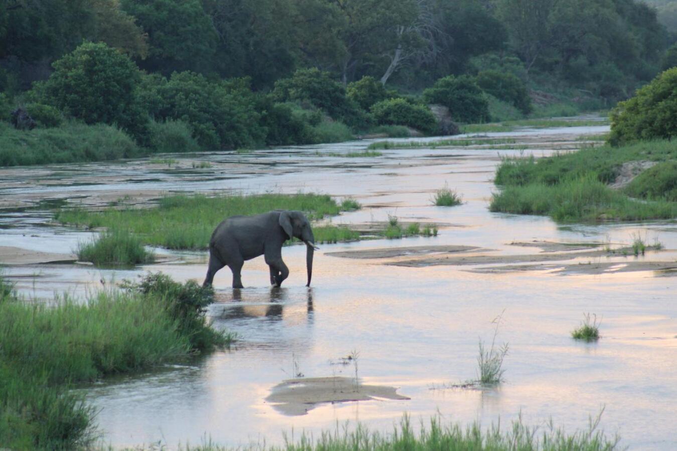 Leopard Hills Private Game Reserve Khu bảo tồn Sabi Sand Ngoại thất bức ảnh