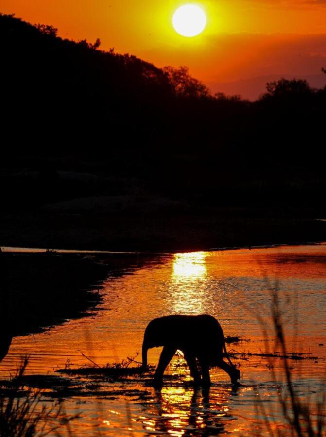 Leopard Hills Private Game Reserve Khu bảo tồn Sabi Sand Ngoại thất bức ảnh
